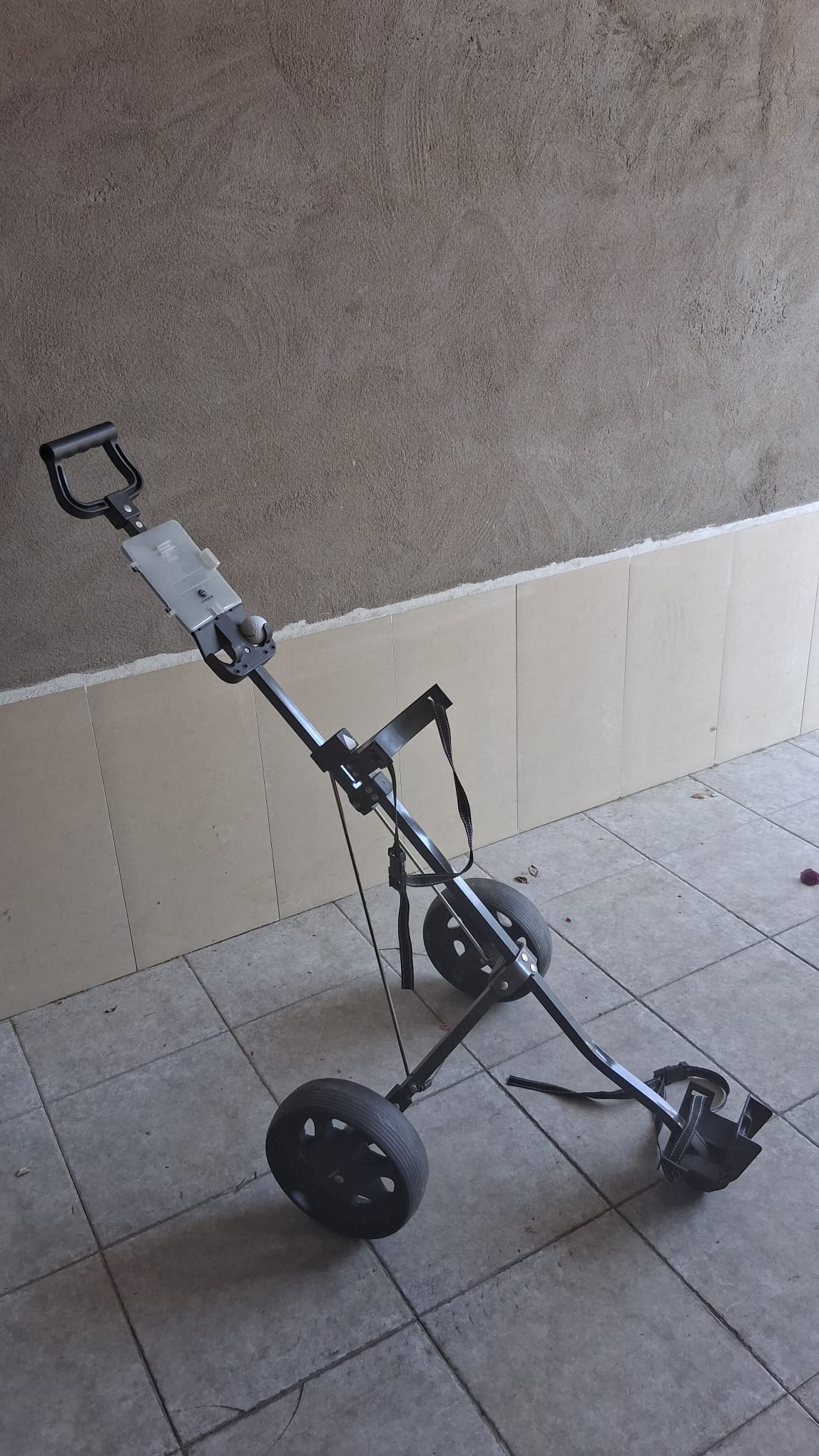 chariot de golf