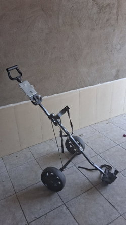 chariot de golf