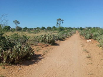 VENDRE-Terrain 8 521m2 idéal BETSINJAKE HAUT Tuléar Madagascar