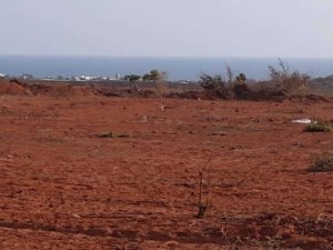 Terrain à vendre à Pointe Sarène / Sénégal