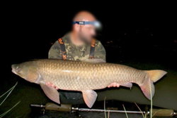 aour 28kg