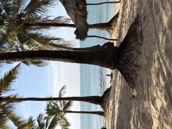 Plage privée