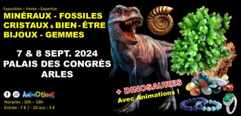 Annonce Salon Minéraux Fossiles Cristaux &amp; Bien-Être Bijoux Gemmes Exposition Dinosaures Arles