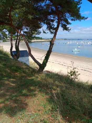 location Maison morbihan damgan kervoyal 300m plage