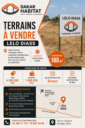 Terrain