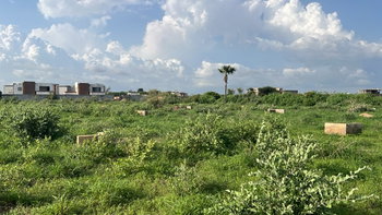 terrains 250 mètres carrés  à vendre à Saly