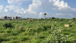terrains 250 mètres carrés  à vendre à Saly