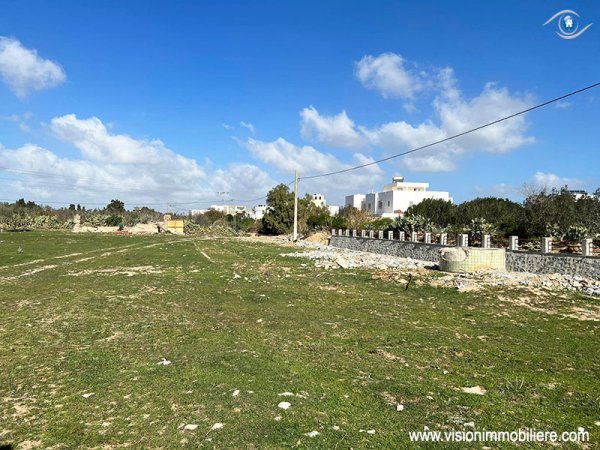 Vente Terrain Buis Hammamet Tunisie
