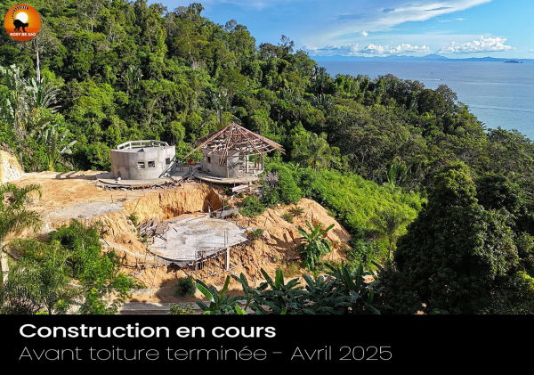 Vues océan et forêt primaire