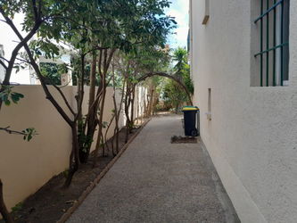 immo catalan