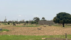 terrain 300 mètres carrés  à vendre à Malicounda