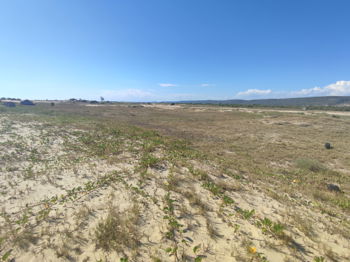 Annonce Vente Terrain mer 10000m2 vue Baie St Augustin Sarodrano Tuléar Madagascar Toliara