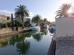 vue amarre