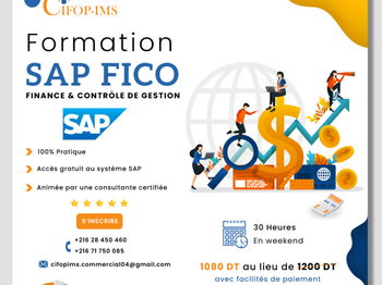 Annonce SAP FICO Gestion Financière Contrôle Gestion Tunis Tunisie