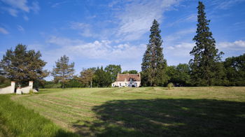 Annonce Vente Propriété chasse 42 hectares Sologne Romorantin-Lanthenay