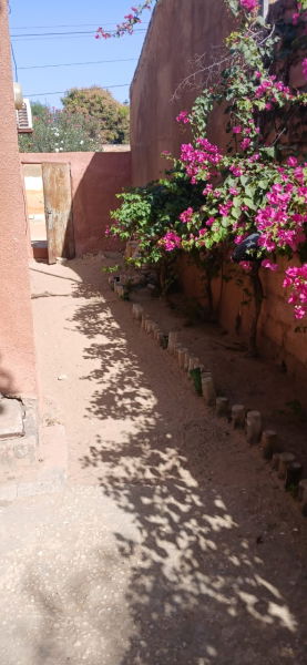 photo du jardin