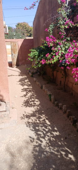 photo du jardin