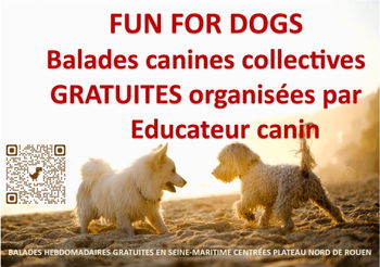 Sur FaceBook cherchez le Groupe FUN for DOGS