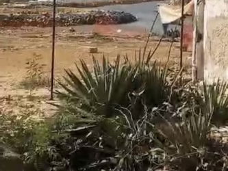 Annonce Vente Terrain toubab dialaw Toubab Dialao Sénégal