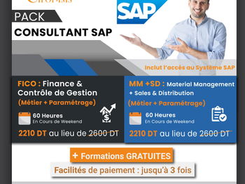 Pack Formation SAP Fico MM SD [Métier Paramétrage] Tunis Tunisie