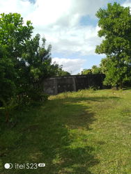 terrain nu