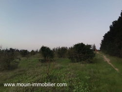 Terrain a vendre