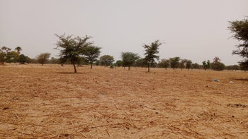 Terrain 1hectare 400m2 à vendre à Simal