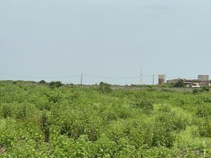 Vente lot terrains 200 meters carres yene Thies Sénégal
