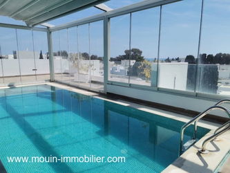 PISCINE ET TERRASSE