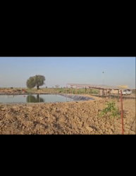 6 hectares à vendre à Tassette