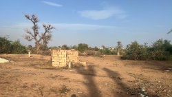 terrains 300 mètres carrés  à vendre à Malicounda