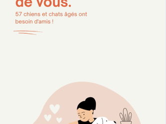 Annonce Promenade chien Gagny Seine Saint Denis
