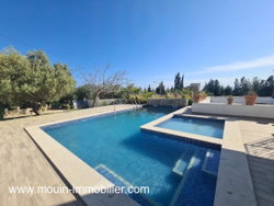 PISCINE ET TERRASSE