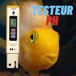 Contrôle du pH pour Poissons