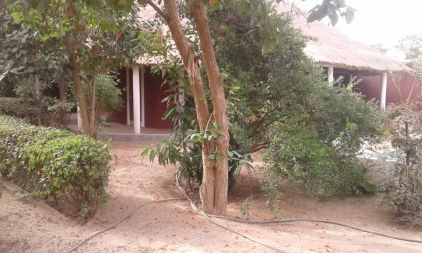 Jardin