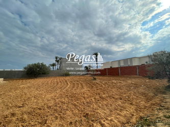Vente 1 terrain permis route phare Djerba Tunisie