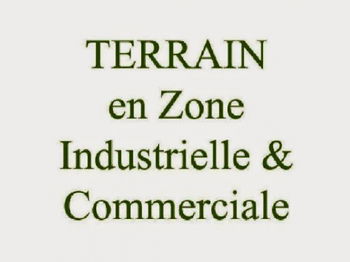 Vente Terrain 8000m² dans zone industrielle Tanger Maroc