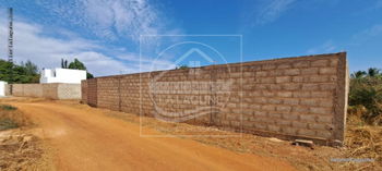Vente Terrain Ngaparou Saly Portudal Sénégal