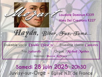 Concert musique sacrée à Vienne - Savigny-sur-Orge