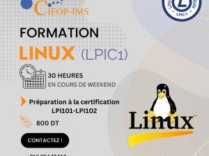 Formation Linux LPIC1 Tunis Tunisie