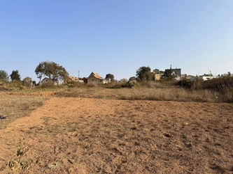 TERRAIN