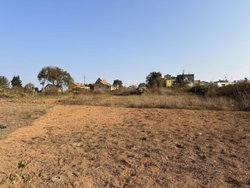 TERRAIN