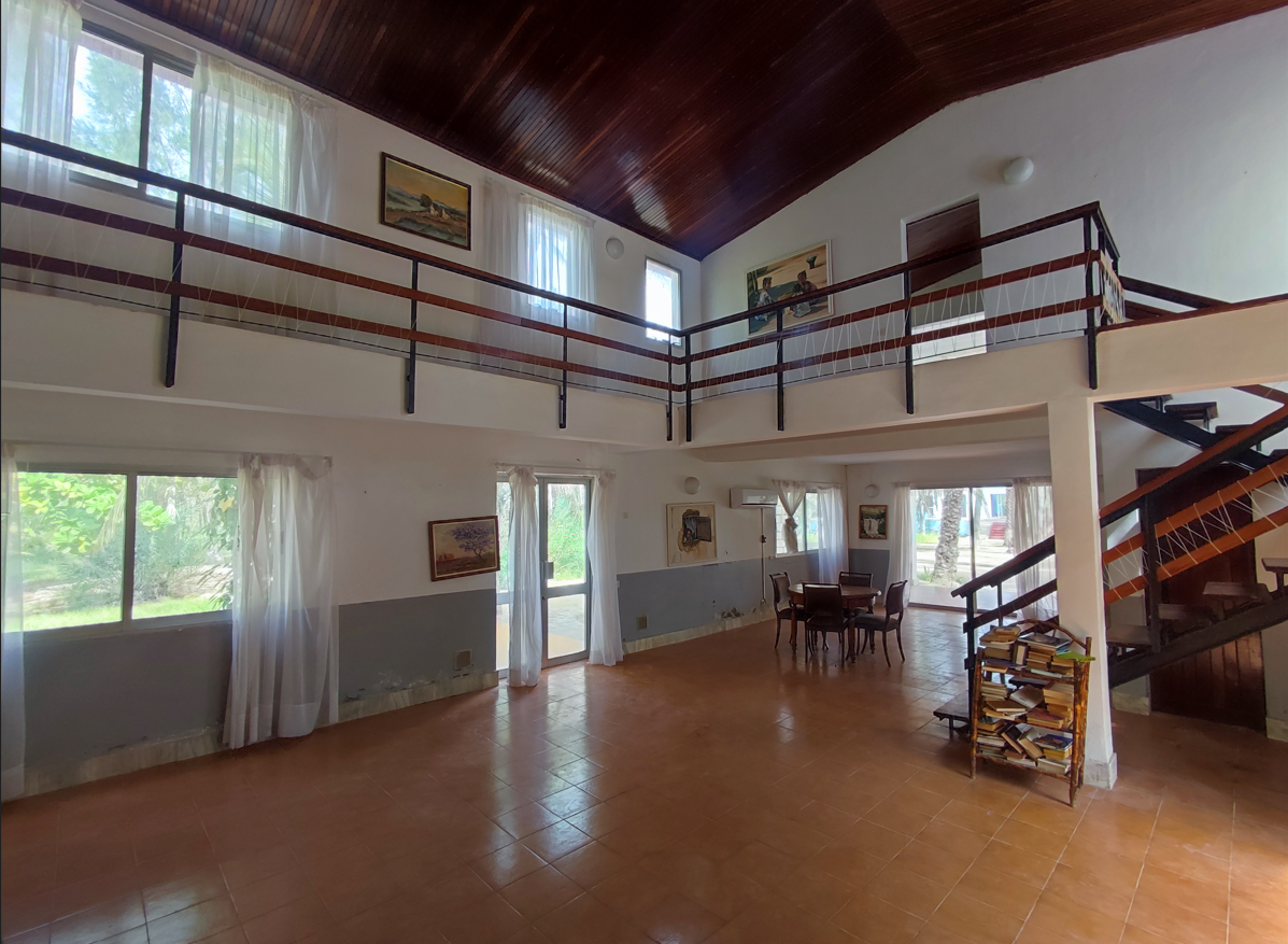 Studio Roses