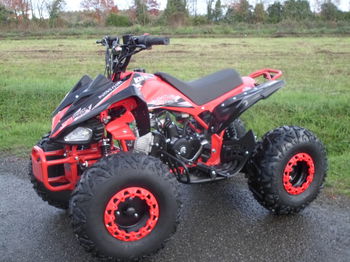 Annonce DESTOCKAGE quad 125 SPEEDY Montaner Pyrénées Atlantiques