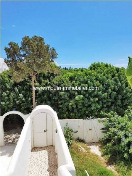 Location maison tilleul hammamet Tunisie