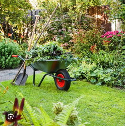 Jardinage - Bricolage - Nettoyage - Services