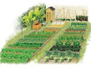 Jardin pour cultiver 100m2 10€/mois Nangis Seine et Marne