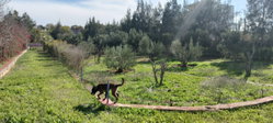 Terrain 2