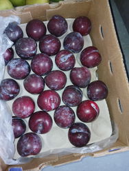PRUNE