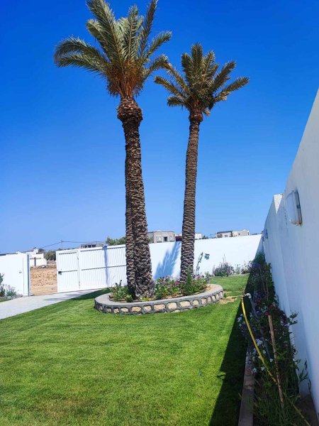 villa piscine pour location annuelle djerba Tunisie